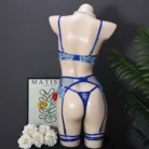 Ellolace Premium Embroidery 5-Piece Lingerie Set with Push Up Bra and Floral Lace 5