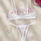 Sexy Hot Lace Women's Ethical Underwear Ellolace Lingeries See Through Intimate Complete 2 Pieces Set Beautiful Matching Bra Set 2