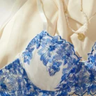 Ellolace Floral Lace Embroidery Lingerie Set Push Up Bra Kit See Through Tulle Exotic Intimate Underwear 4