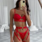 Chain Bra Panty Set Ellolace Fine Lingerie 5-Piece with Garters 4