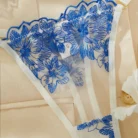 Ellolace Floral Lace Embroidery Lingerie Set Push Up Bra Kit See Through Tulle Exotic Intimate Underwear 5