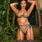 Luxury Sexy Lace Lingerie Set Ellolace Daring Erotic Adult Costume for Women 2